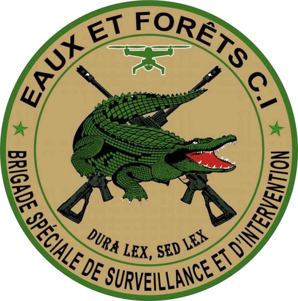 Brigade Spéciale de Surveillance et d'Intervention (BSSI)